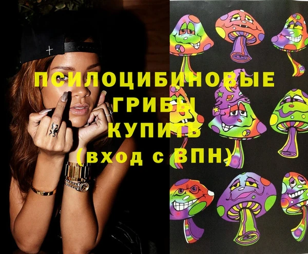 apvp Беломорск