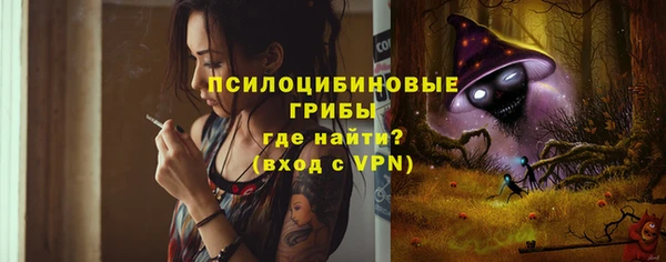 кокс Белокуриха