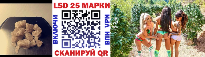 купить наркотик  Волжск  Лсд 25 экстази кислота 