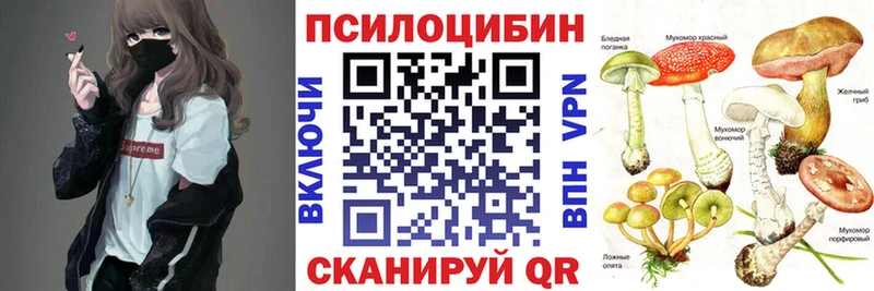 Галлюциногенные грибы GOLDEN TEACHER  где купить наркоту  Волжск 