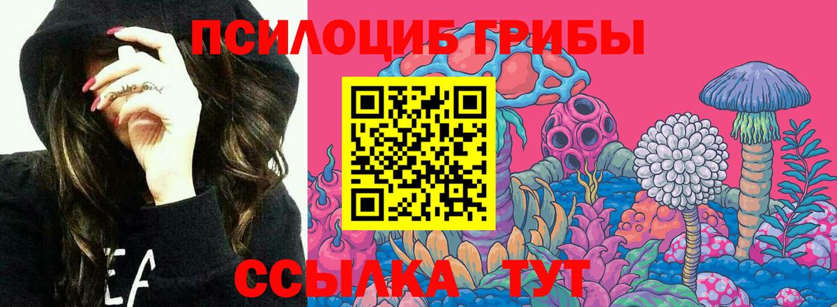 Псилоцибиновые грибы мухоморы Волжск