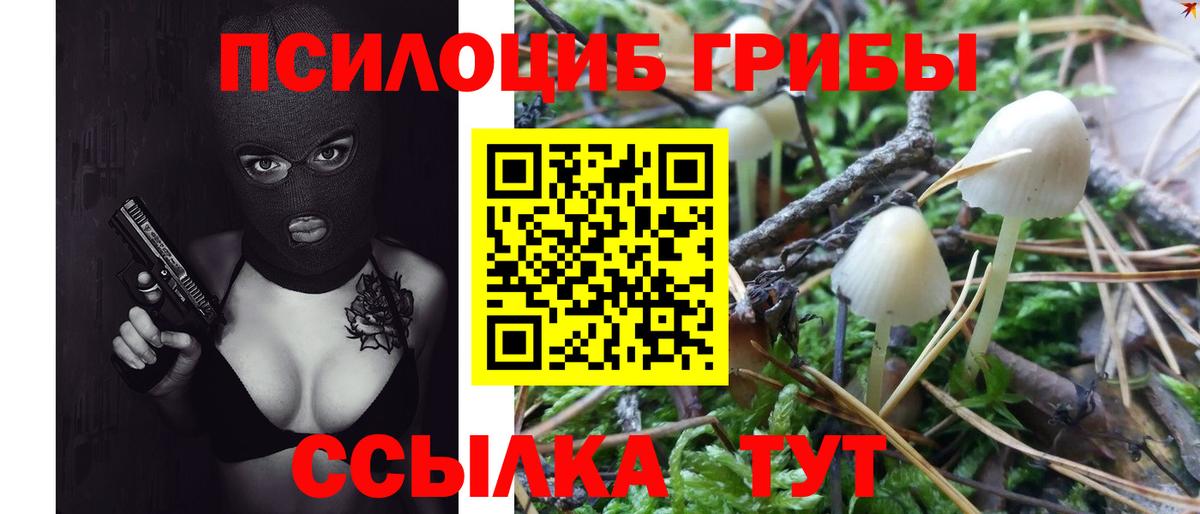 Псилоцибиновые грибы Cubensis  Вход с VPN  как найти наркотики  Волжск  Псилоцибиновые грибы GOLDEN TEACHER 